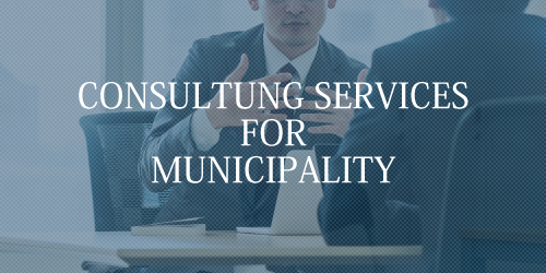 自治体向けコンサルティング業務